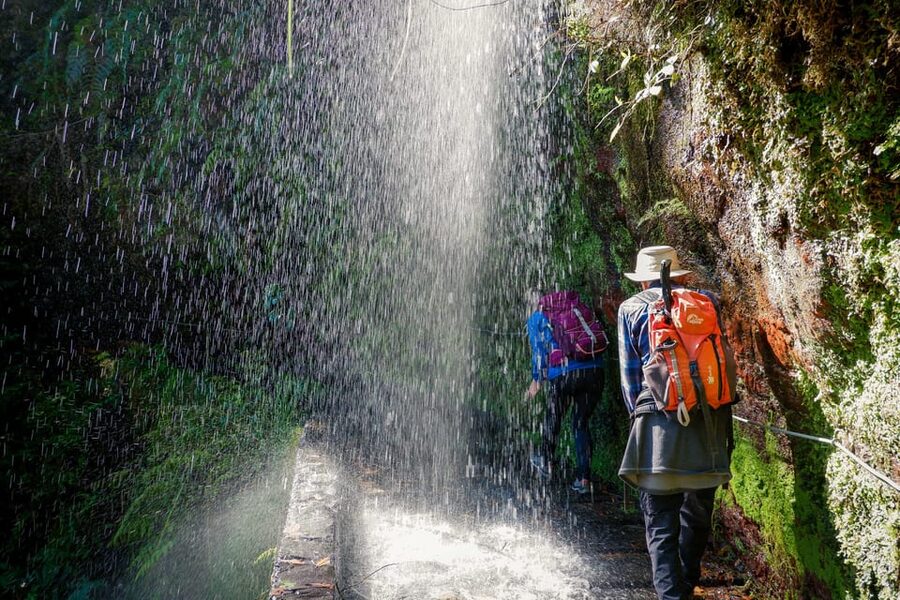 Hiking Madeira: Levada do Rei and the Majestic Laurissilva - Why this walk is worth your day