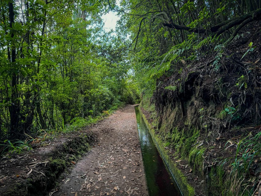 Hiking Madeira: Levada do Rei and the Majestic Laurissilva - The waterfall section and the practical side of levada walking