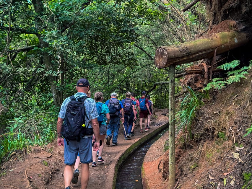 Hiking Madeira: Levada do Rei and the Majestic Laurissilva - Ribeiro Bonito, the quiet endpoint