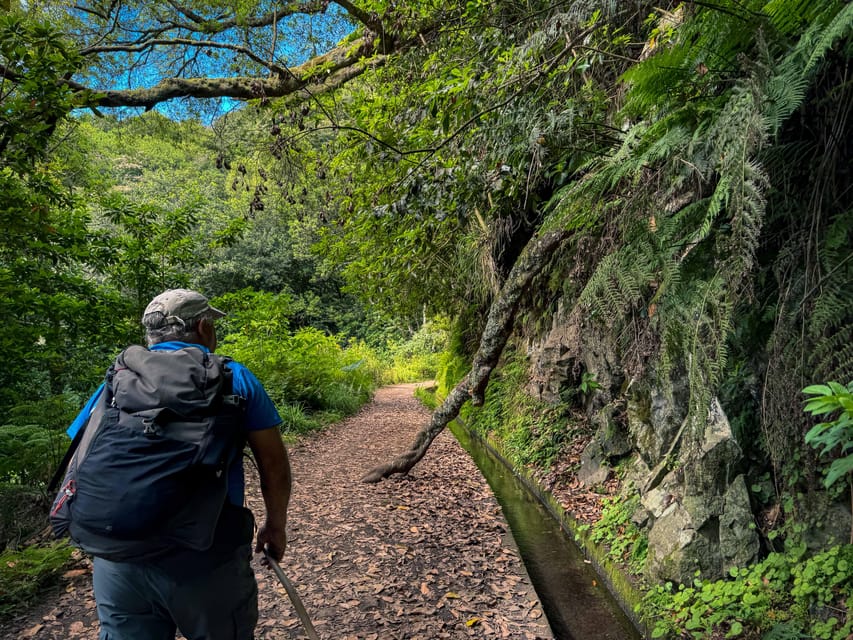Hiking Madeira: Levada do Rei and the Majestic Laurissilva - Starting at Quebradas and the São Jorge valley