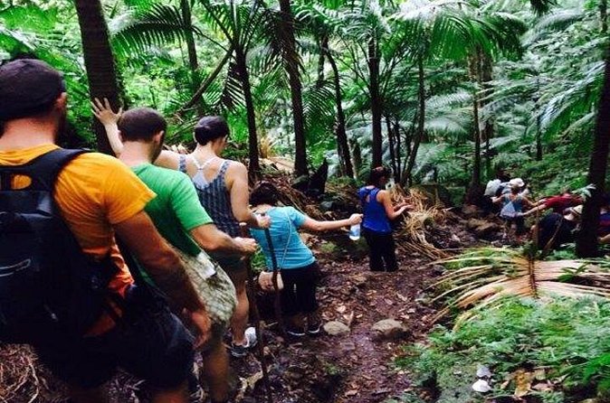 Hiking Mount Liamuiga Volcano in St Kitts - The descent is where preparation pays off