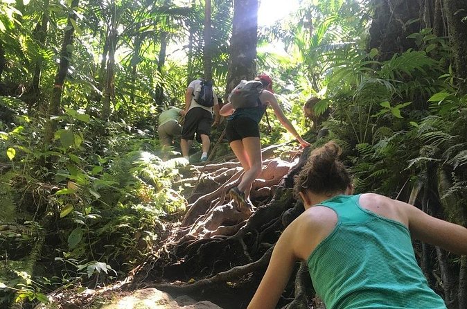 Hiking Mount Liamuiga Volcano in St Kitts - What the guides add to the experience