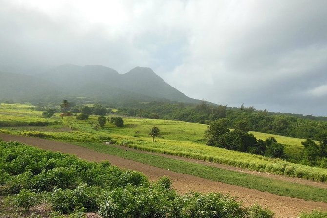 Hiking Mount Liamuiga Volcano in St Kitts - Cloud forest and the final climb
