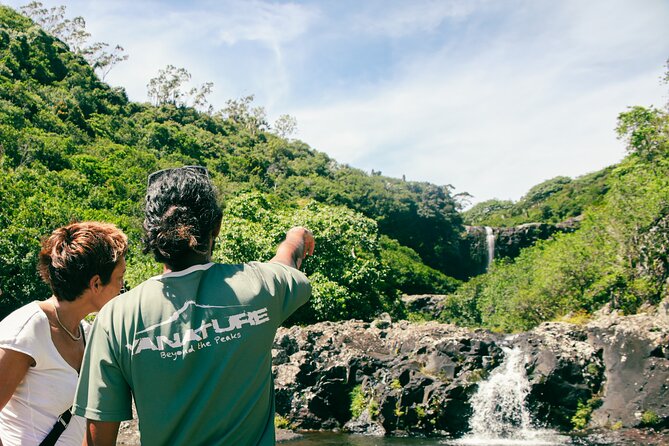 Hiking Sept Cascades (Tamarind Falls) - Half Day - The first forest paths and volcanic rock