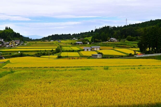 Hiking the Historic Nakasendo Trail [1 Day Tour from Nagoya] - Arriving in Magome-juku
