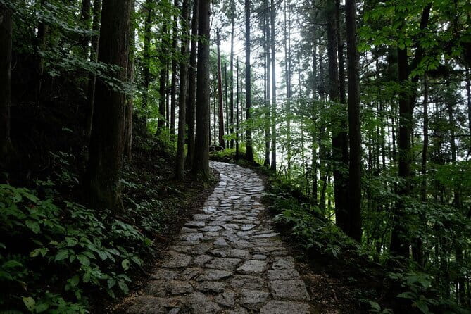 Hiking the Historic Nakasendo Trail [1 Day Tour from Nagoya] - Walking the 8 km trail to Magome