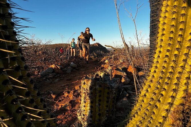 Hiking Todos Santos at Sunset - Leaving Cabo for Todos Santos