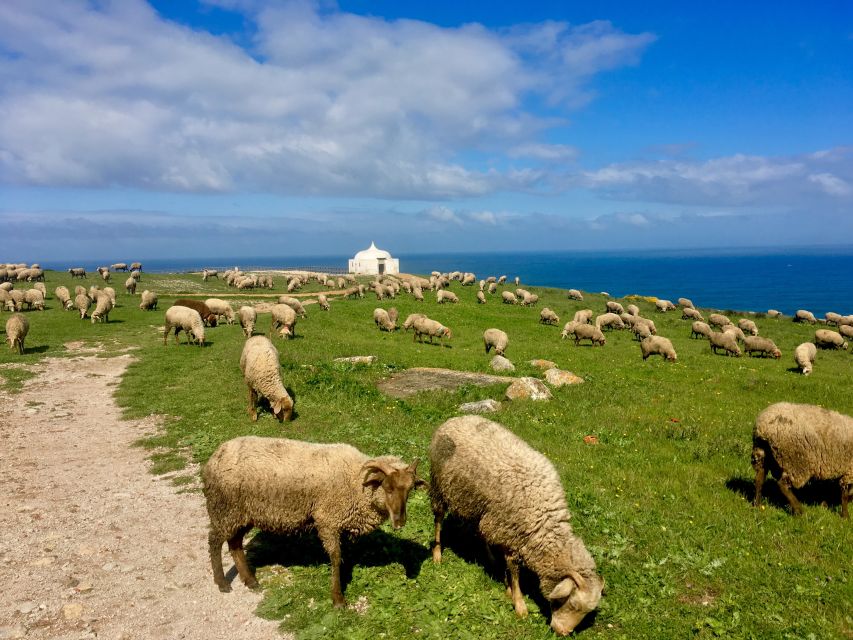Hiking Tour Along the West Coastline - Is $118 a fair price?