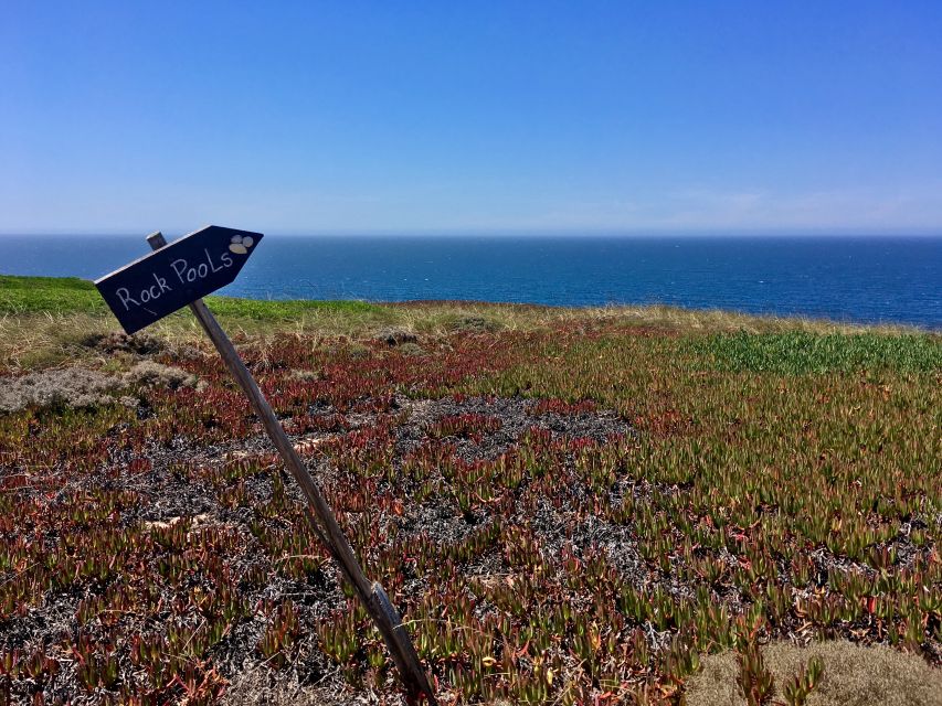 Hiking Tour Along the West Coastline - Natural pools at Areia de Mastro