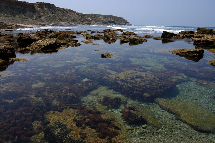 Hiking Tour Along the West Coastline - What to wear and pack