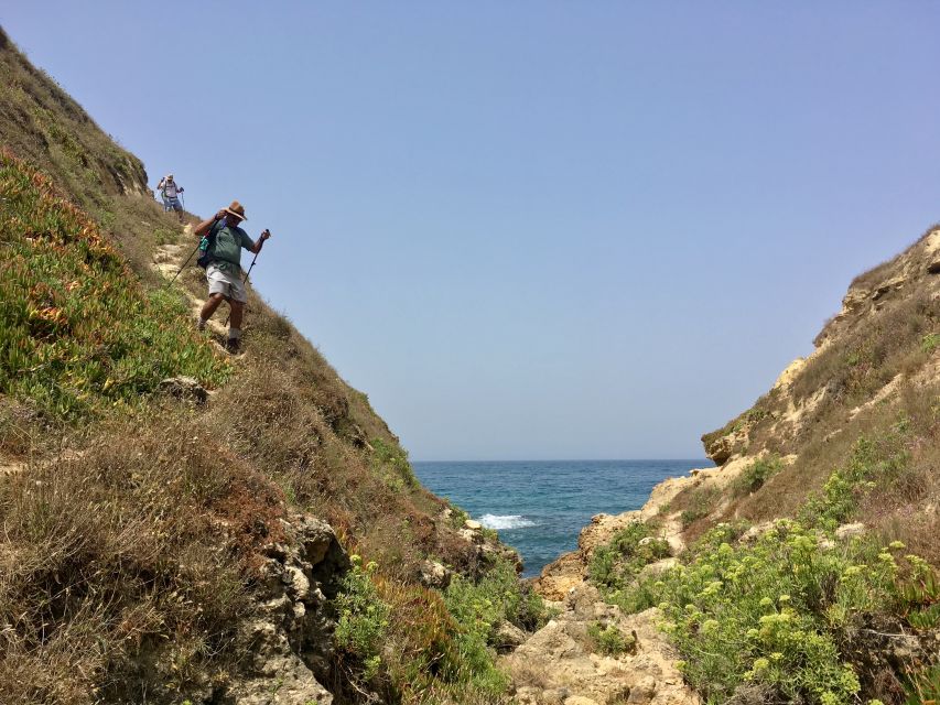 Hiking Tour Along the West Coastline - The first stretch: cliffs, coves, and wild beaches