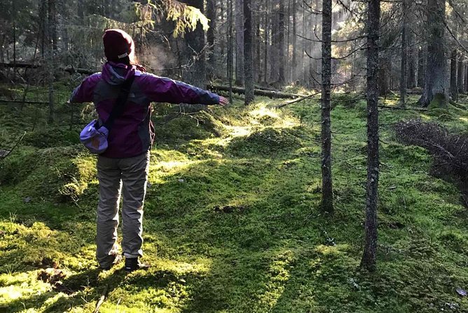 Hiking tour in Nuuksio National Park with meal and snacks - At a Glance: What Makes This Hike Worth Considering