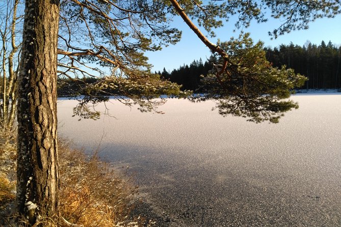 Hiking tour in Nuuksio National Park with meal and snacks - David’s Guided Nature Walk