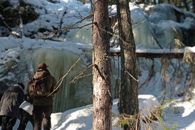 Hiking tour in Nuuksio National Park with meal and snacks - Glögi, Berry Tea, and Forest Snacks
