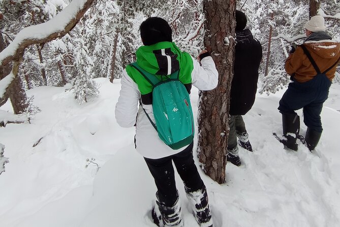 Hiking tour in Nuuksio National Park with meal and snacks - Is the $113.72 Price Good Value?