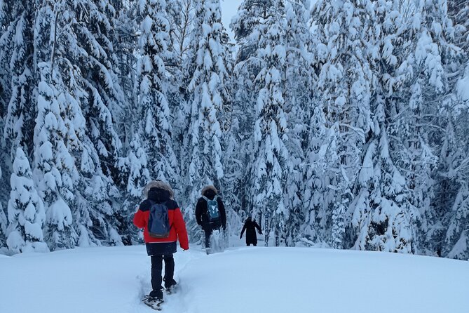 Hiking tour in Nuuksio National Park with meal and snacks - Lakes, Bogs, and the Character of Nuuksio