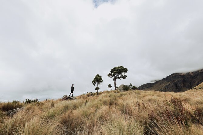 Hiking Tour on the Iztaccíhuatl Volcano from Puebla - What 4,500 meters feels like