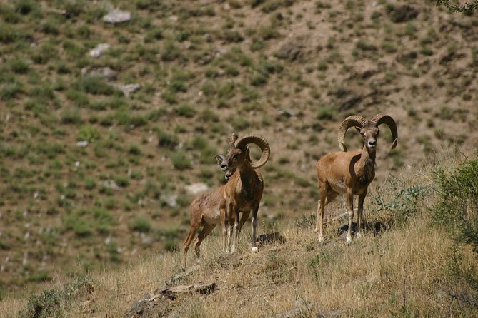 Hiking tour to Hayat, Uhum and Asraf villages – 4 days - Day 4: Eski Forish and the final ride to Samarkand