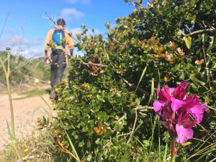 Hiking tour to Highest Limestone Cliff in Europe - The cliff arrival and Serra do Risco