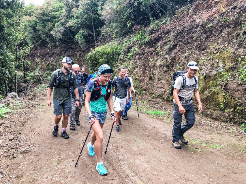 Hiking Trip with a Local - Key points to know before booking