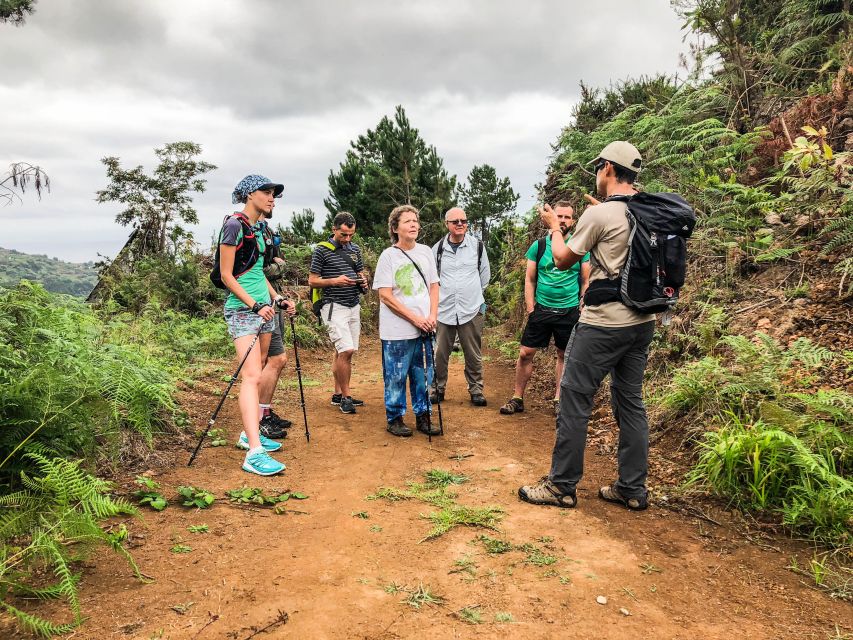 Hiking Trip with a Local - Wednesday: Caldeirão Verde and the levada experience