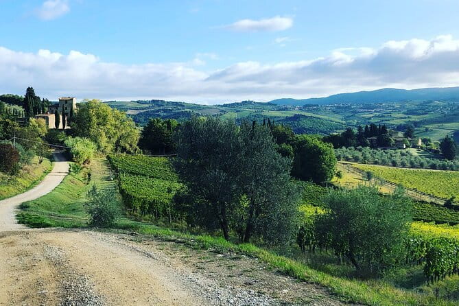 Hiking Tuscany & Chianti Wine - 3 Organic Wineries with lunch - A small group with Lorenzo or Stefano