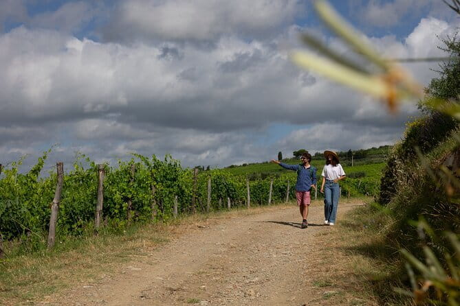 Hiking Tuscany & Chianti Wine - 3 Organic Wineries with lunch - The 7-kilometer walk through Tuscany