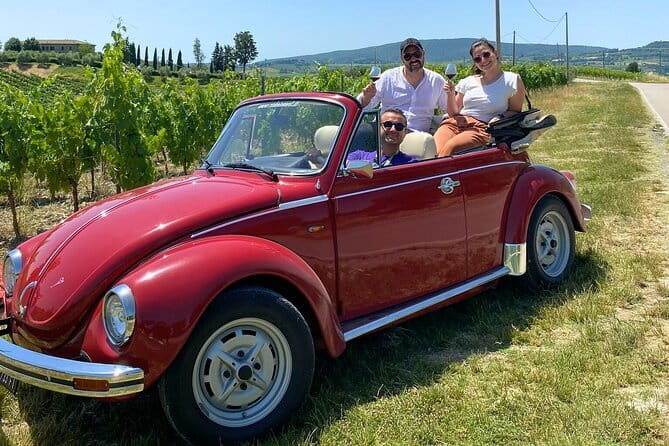 Hiking Tuscany & Chianti Wine - 3 Organic Wineries with lunch - What the day feels like in practice