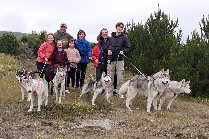 Hiking with Husky in Akureyri - Why this husky outing feels different