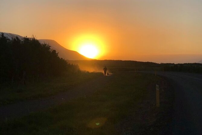 Hiking with Husky in Akureyri - What $138.17 gets you