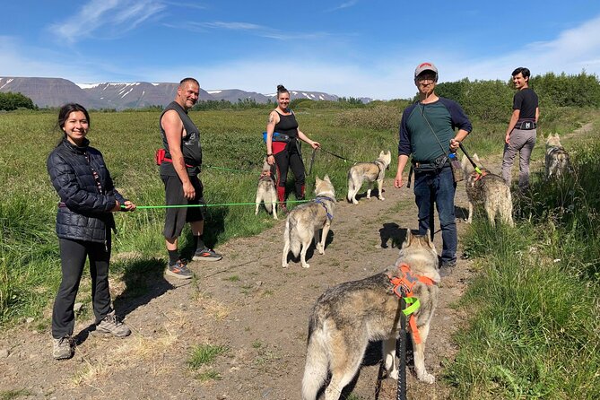 Hiking with Husky in Akureyri - Who will enjoy it most