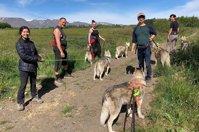 Hiking with Husky in Akureyri (private) - Meeting Gunni, Maria, and the husky family