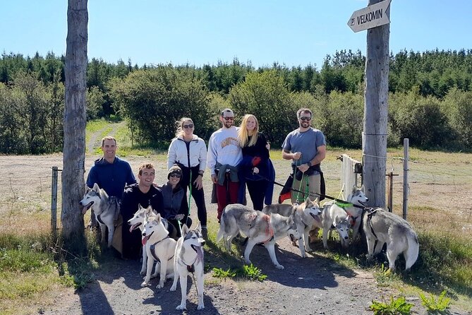 Hiking with Husky in Akureyri (private) - Coffee, stories, and the working-dog life