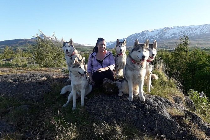 Hiking with Husky in Akureyri (private) - Who will enjoy this most