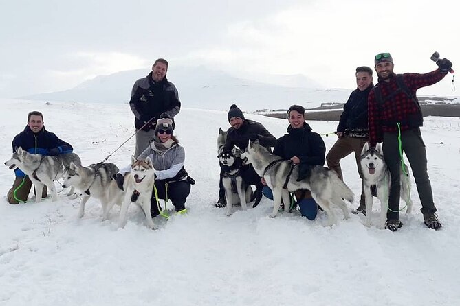 Hiking with Husky in Akureyri (private) - Booking, weather, and practical details