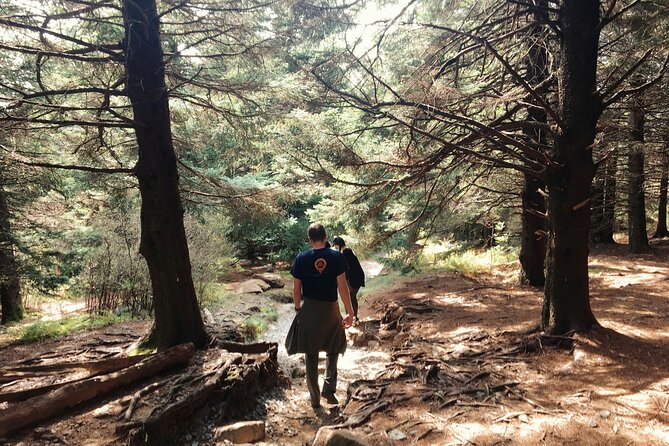 Hiking with the best views of Barcelona - Vil·la Joana and the first taste of local culture