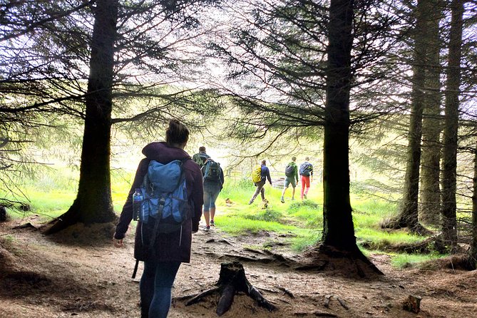 Hill & Nature Hike - Discover Real Edinburgh With a Local Expert - Wildlife, reservoirs, and the walk downhill