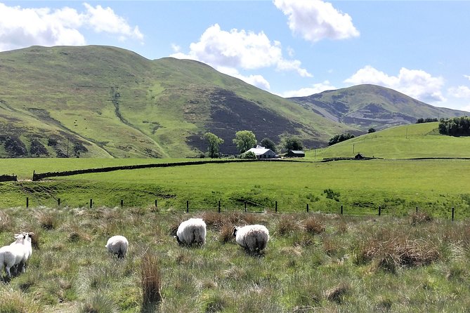 Hill & Nature Hike - Discover Real Edinburgh With a Local Expert - Rishi’s guiding style and group pace