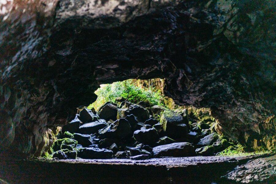Hilo: Elite Volcano Hike - Booking details worth knowing