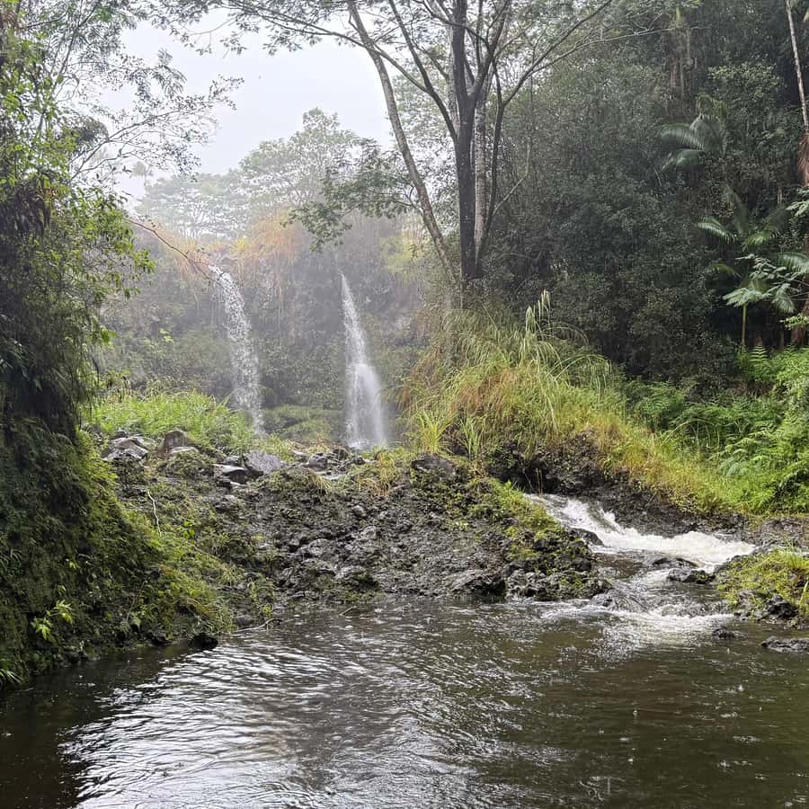 Hilo: Waterfall Hike and Swim with Native Hawaiian - Hawaiian language, food, and cultural practice