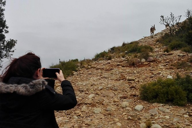 Historical Montserrat Half-Day Hiking Tour from Barcelona - How hard is the hike?