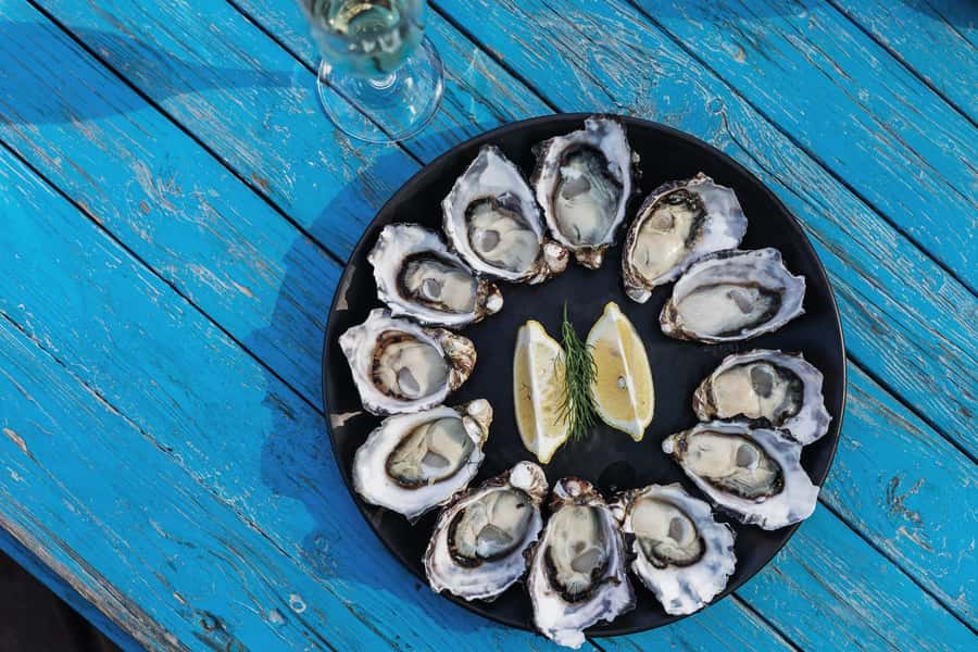 Hobart: Bruny Island Adventure: Hike, Highlights & Tastes - Key points to know before booking