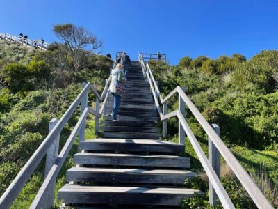 Hobart: Bruny Island Adventure: Hike, Highlights & Tastes