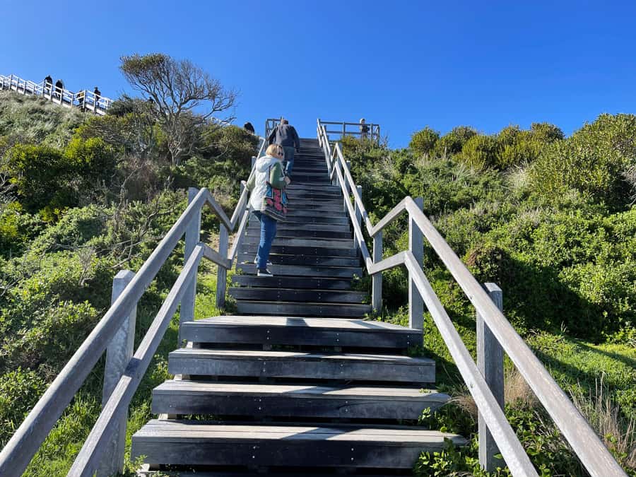 Hobart: Bruny Island Adventure: Hike, Highlights & Tastes - The ferry crossing and the first look at Bruny