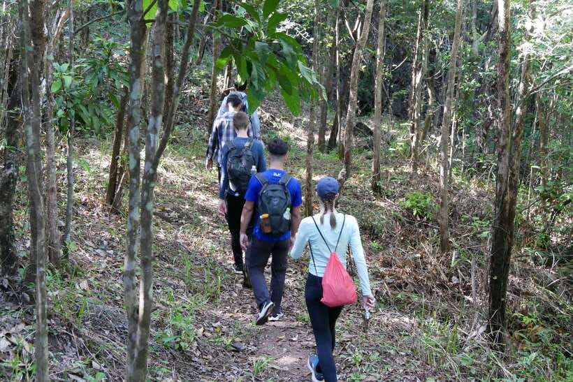 Hoi An: Amazing My Son Sanctuary and Mountain Trekking - Into the jungle on an uneven trail