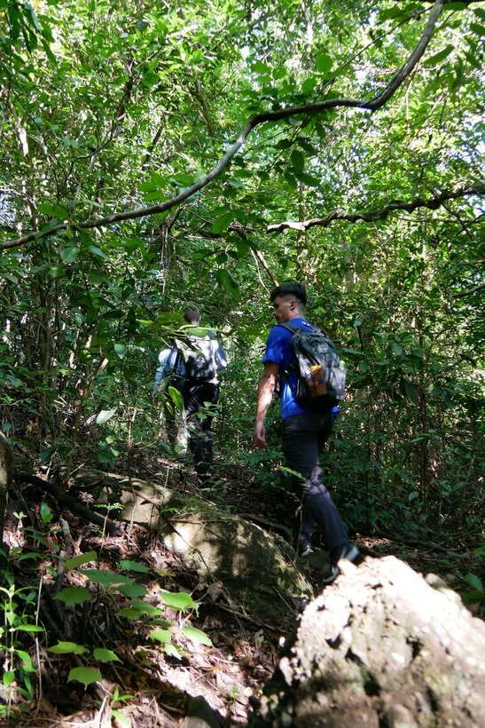 Hoi An: Amazing My Son Sanctuary and Mountain Trekking - Birds, squirrels, buffalo, and quiet streams