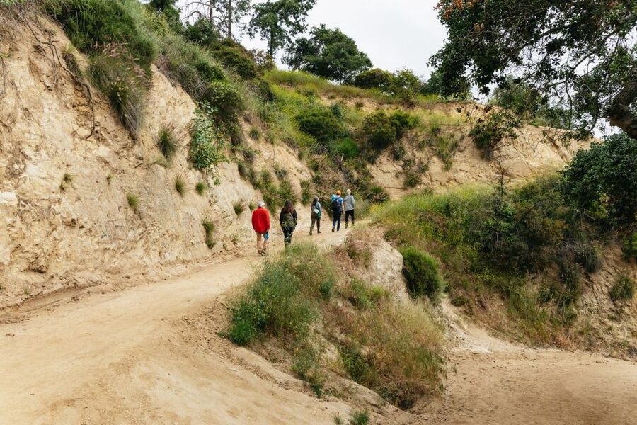 Hollywood Sign Hiking Tour to Griffith Observatory - Who should book this Griffith Park walk?