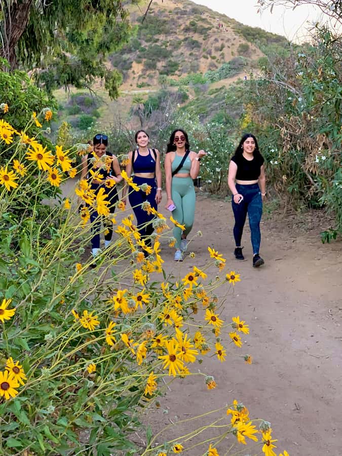Hollywood Walking & Hiking Sunset Tour with LA Skyline Views - Booking details that matter