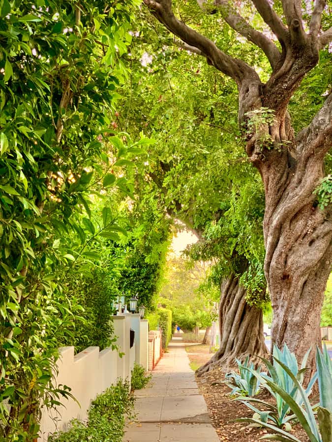 Hollywood Walking & Hiking Sunset Tour with LA Skyline Views - Who will enjoy this sunset walk most