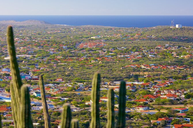 Hooiberg Hill Hike (Sunrise, Sunset, Night) - Key points to know before you climb